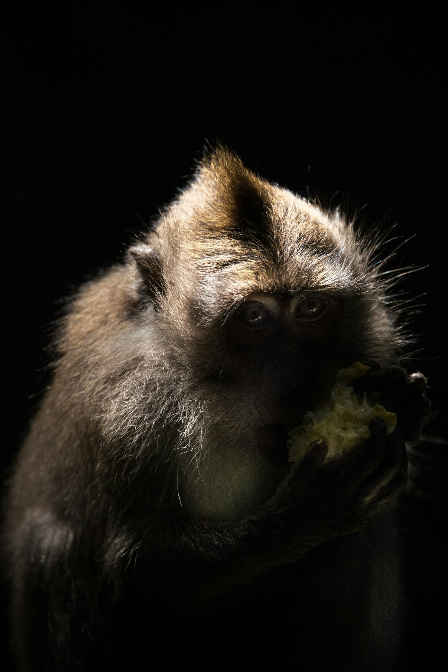 Samuel’s Tips for Capturing Safari Moments