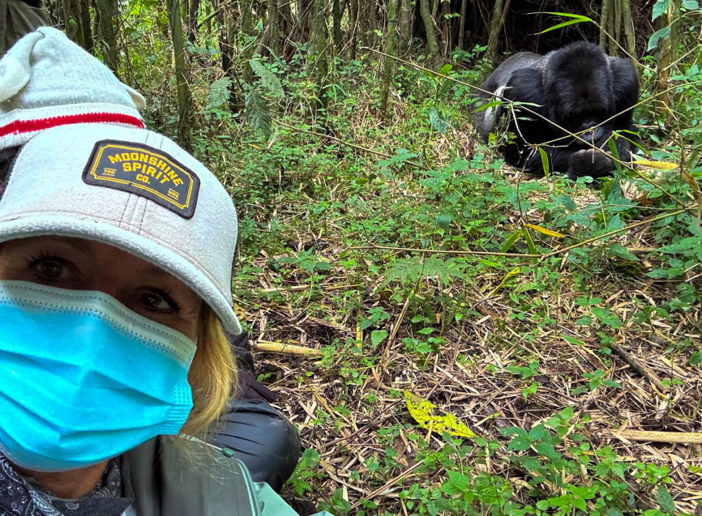Mountain gorilla trekking